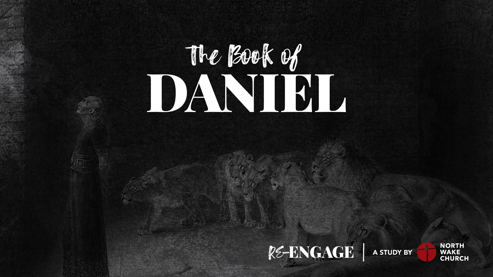 Daniel 11 episode artwork
